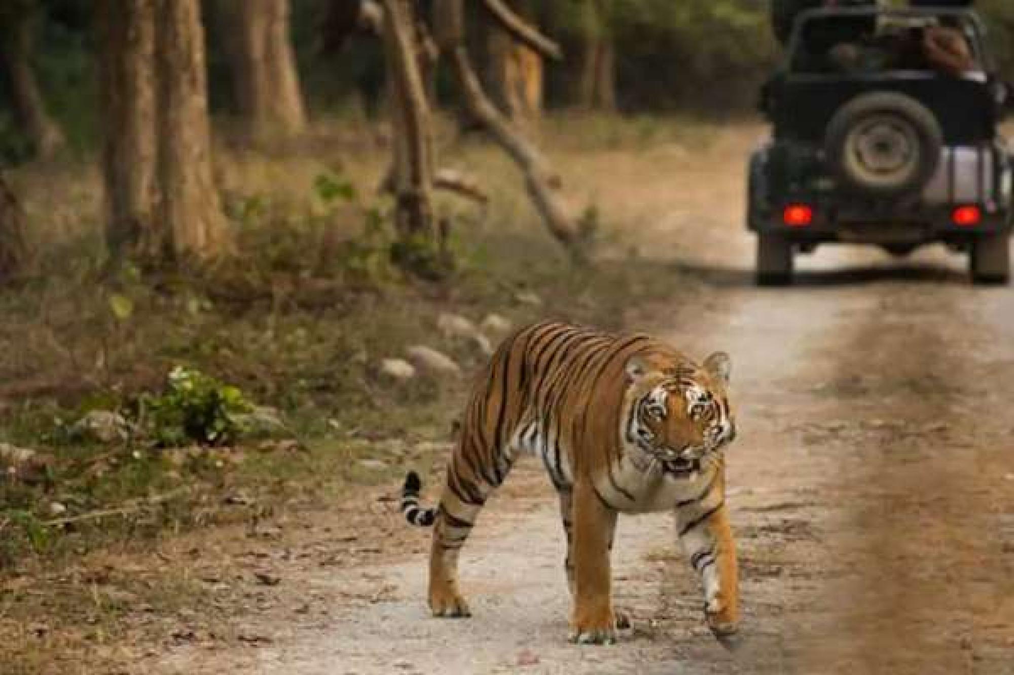 2 Days Delhi Jim Corbett Tour